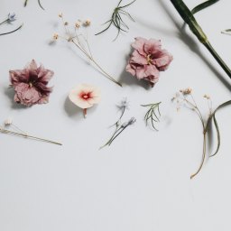 How To Start Having A Minimal Life